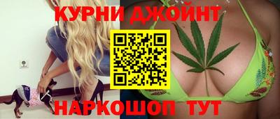 сатива Канаш
