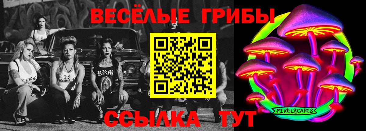 Псилоцибиновые грибы MAGIC MUSHROOMS  Вход с VPN  Королёв 